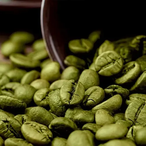 Café Verde